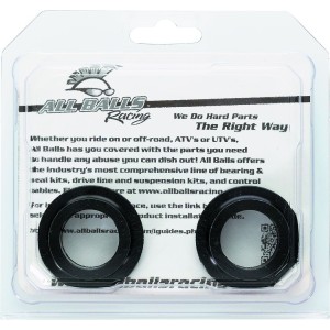Kit entretoise de roue arrière ALL BALLS 125-250 RM 2000-2008