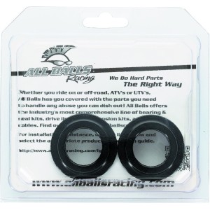 Kit entretoise de roue arrière ALL BALLS 250-400-426 WRF 125-250 YZ 99-01