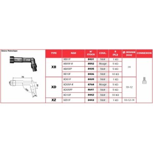 Anti-parasite NGK - XZ01F