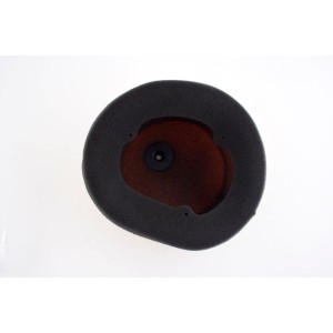 Filtre à air TWIN AIR  Résistant au feu - Honda 250 CRF-R 2010-2013 et 450 CRF-R 2009-2012