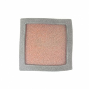 Filtre à air TWIN AIR  Résistant au feu - Polaris 500 Predator 2003-2007