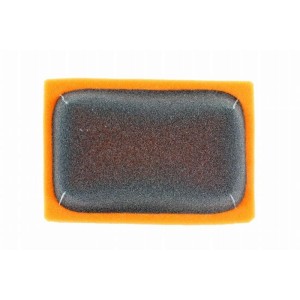 Filtre à air TWIN AIR Pré-huilé résistant au feu - BMW R1200 2013-2017