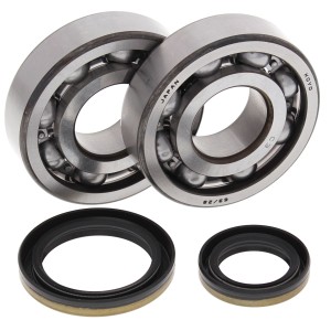 Kit roulements et joints spi de vilebrequin ALL BALLS 250 RM 1996-2002