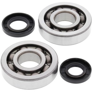 Kit roulements et joints spi de vilebrequin ALL BALLS 250 KX 2002-2007