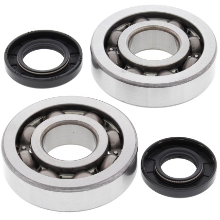 Kit roulements et joints spi de vilebrequin ALL BALLS 250 KX 2002-2007