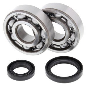 Kit roulements et joints spi de vilebrequin ALL BALLS 125 RM 1989-2008