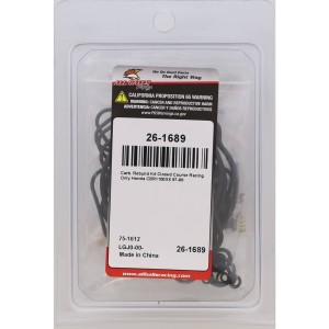 Kit réparation carburateur ALL BALLS 1100 CBR XX 1997-1998