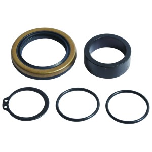 Kit reconditionnement d'arbre de sortie de boîte ALL BALLS Beta 2013-2024