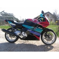 Honda 600 CBR 1991