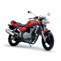 Kawasaki 500 ER-5 2002