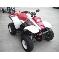Polaris 325 Trailboss 2001