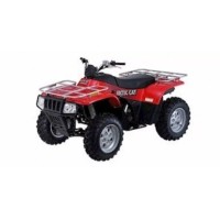 ARCTIC CAT 250 2X4 2004