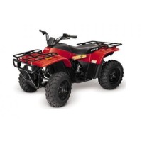 ARCTIC CAT 300 2x4 2001