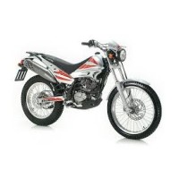 Beta 200 Alp 2006