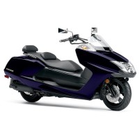 Yamaha 250 CP Morphous 2008