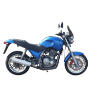 SACHS 650 cc