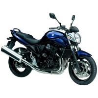 SUZUKI 650 GSF Bandit 2009