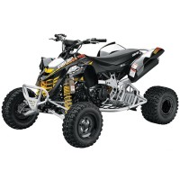 CAN-AM 450 DS 2010