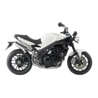 TRIUMPH 1050 Speed Triple 2010