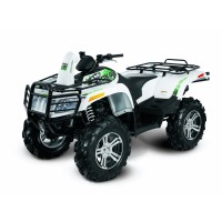 ARCTIC CAT 1000 Mudpro 2008