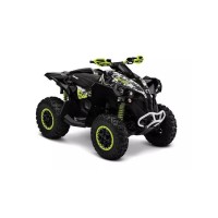 CAN-AM 1000 Renegade 2015