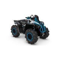 CAN-AM 1000 Renegade 2017