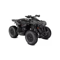 CAN-AM 1000 Renegade 2019