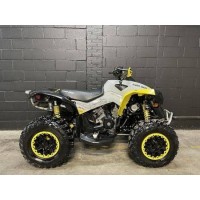 CAN-AM 1000 Renegade 2020