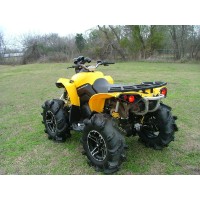 CAN-AM 570 Renegade 2019