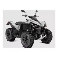 CAN-AM 650 Renegade 2018