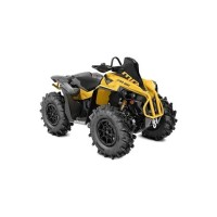 CAN-AM 650 Renegade 2020