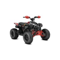 CAN-AM 650 Renegade 2024