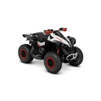 CAN-AM 850 Renegade 2018