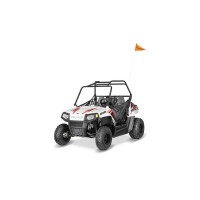 Polaris 170 RZR 2016