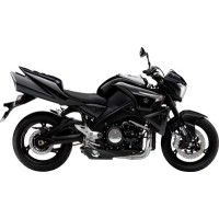 SUZUKI 1300 GSX B-King 2009
