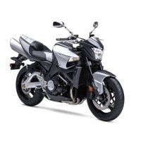 SUZUKI 1300 GSX B-King 2010