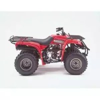 Yamaha 230 YFM Bear Tracker 2003