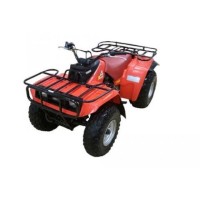 Yamaha 250 YFM 1989