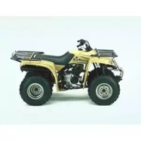 Yamaha 250 YFM Bear Tracker 1995
