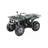 Yamaha 250 YFM Bear Tracker 2002