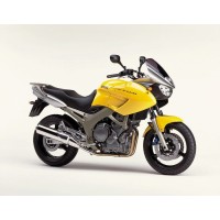 YAMAHA 900 TDM 2010