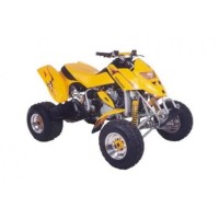 BOMBARDIER 650 DS 2000