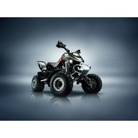 BOMBARDIER 650 DS 2006