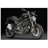 DUCATI 1100 Monster 2013