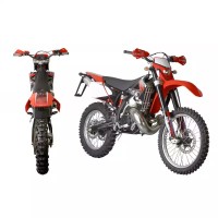 Gas-Gas 250 EC 2009