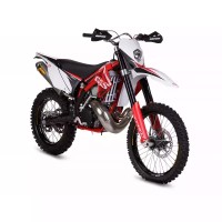 Gas-Gas 250 EC 2011