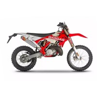 Gas-Gas 300 EC 2020