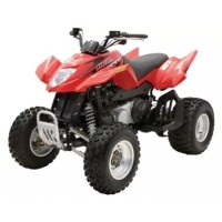 ARCTIC CAT 250 cc