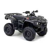 ARCTIC CAT 425 cc