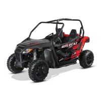 ARCTIC CAT 800 cc